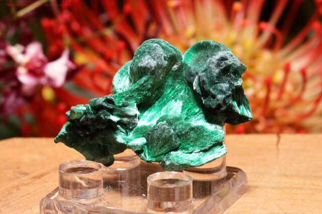 シルキー・マラカイト/絹状原石(T694)