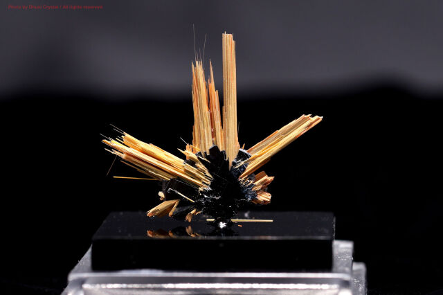 【SOLDOUT!】 サンルチル原石/ケース付き(T703)