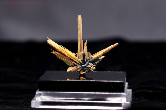 【SOLDOUT!】 サンルチル原石/ケース付き(T704)