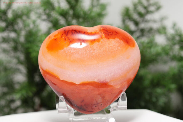 カーネリアン/ハート(T709)