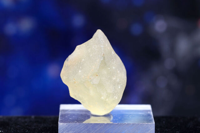 【SOLDOUT】リビアングラス(T71)