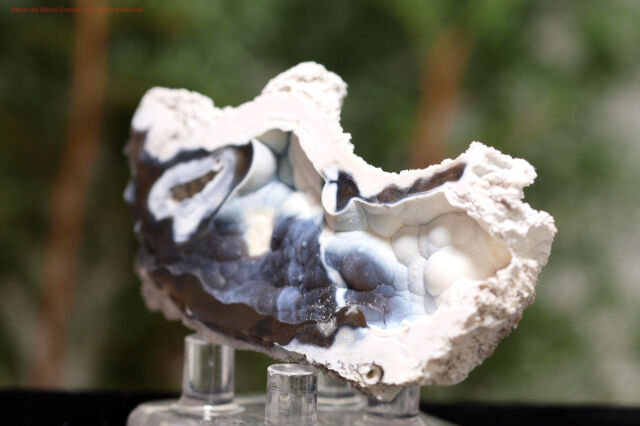 アゲート化サンゴ｜珊瑚の化石が瑪瑙化した天然石・グラウンディング