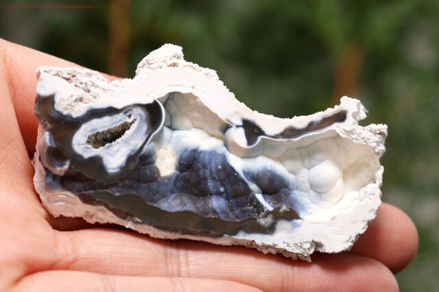 アゲート化サンゴ｜珊瑚の化石が瑪瑙化した天然石・グラウンディング