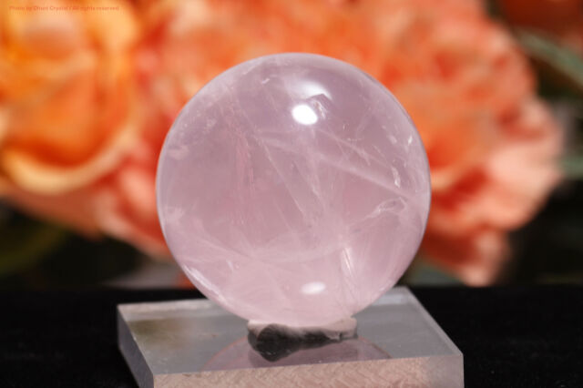 t736-2.jpg?t=20251121151243