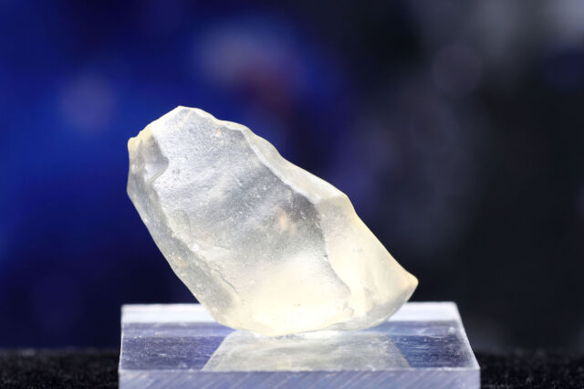 リビアングラス(T74)