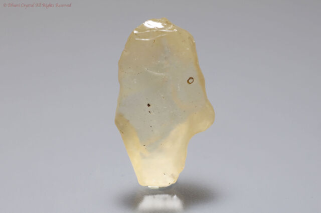 リビアングラス(T74)