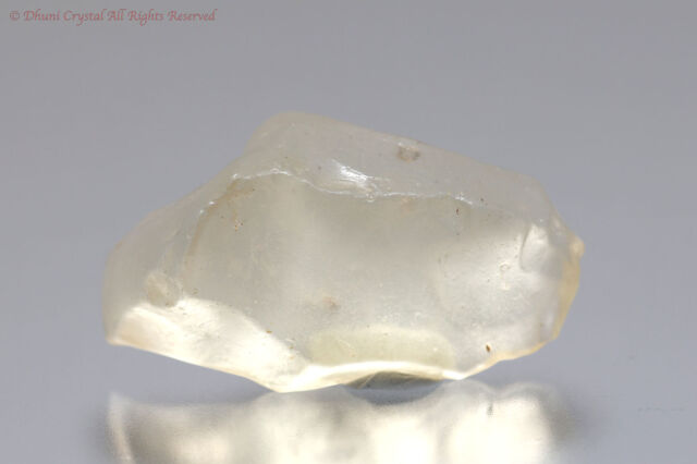 リビアングラス(T74)