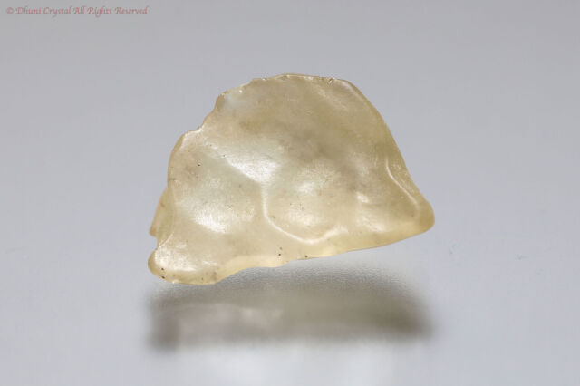 リビアングラス(T75)