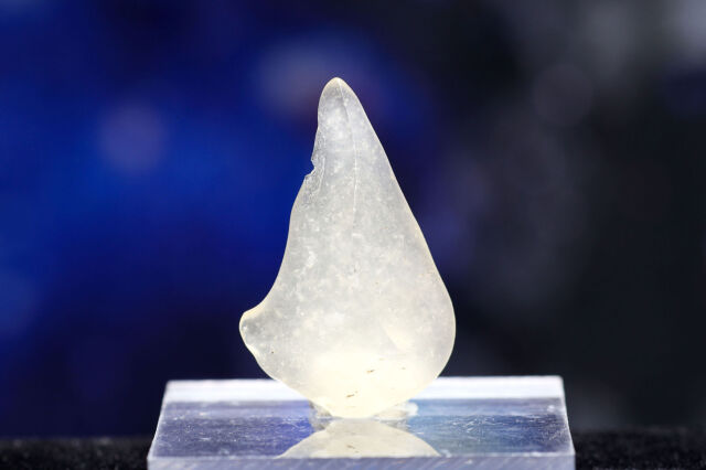 【SOLDOUT】リビアングラス(T76)