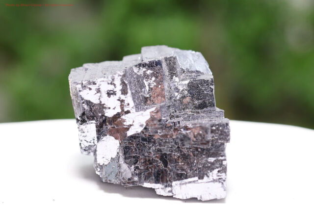 ガレナ/方鉛鉱(T774)