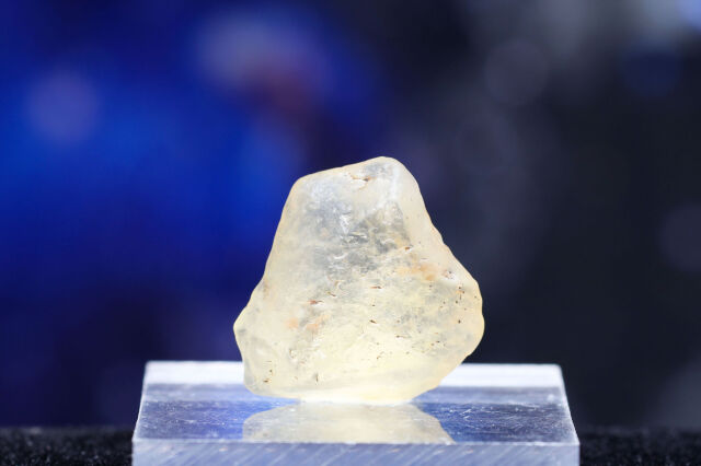 【SOLDOUT】リビアングラス(T78)