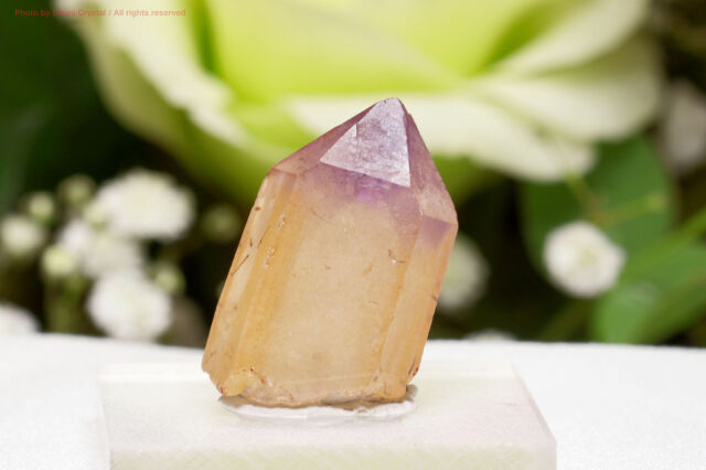 アメジスト/パラ州産(T823)