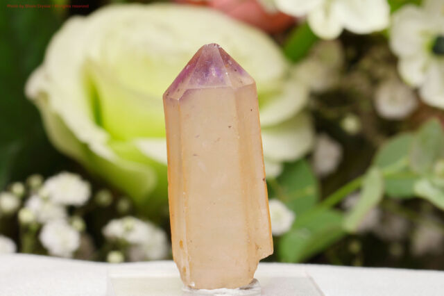 アメジスト/パラ州産(T824)