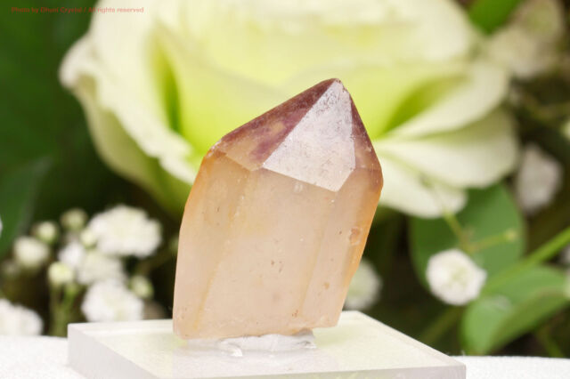 アメジスト/パラ州産(T825)