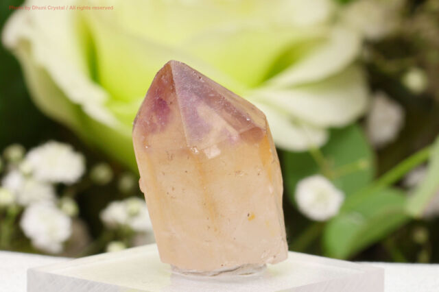 アルジェリア バラ石 アルジェリア産砂漠の薔薇 砂漠の薔薇(石）アルジェリア産 【公式通販】