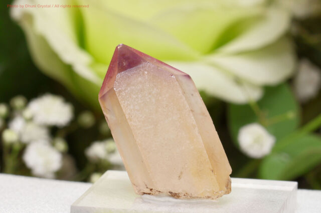 アメジスト/パラ州産(T826)