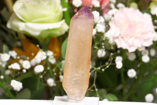 ブラジル パラ州産 高品質天然石コレクション