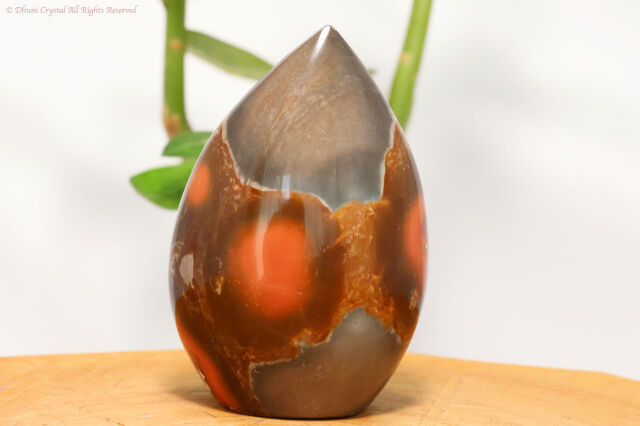 【SOLDOUT】ポリクロームジャスパー（T83）