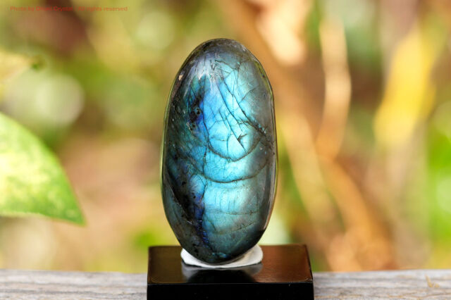 ラブラドライト/タンブル(T836)