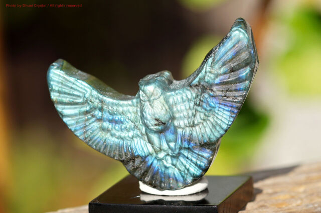 ラブラドライト/フクロウ(T838)