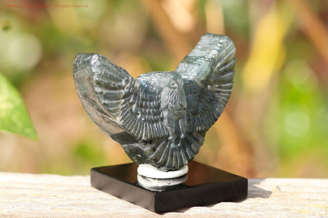 ラブラドライト 潜在能力を開き未来を照らす虹色の変光石