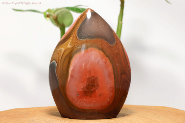 ポリクロームジャスパー（T84）