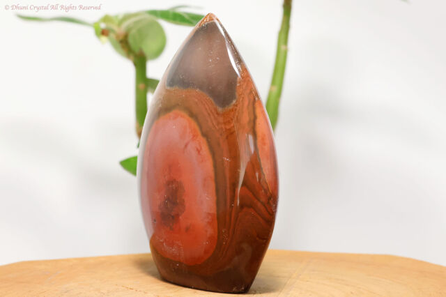 ポリクロームジャスパー ポリクロームジャスパー 【公式通販】