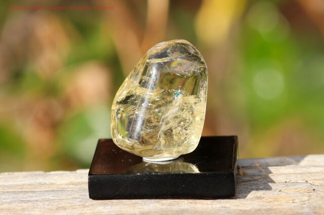 天然シトリンのタンブル(T841)