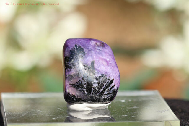 チャロアイト/タンブル(T852)