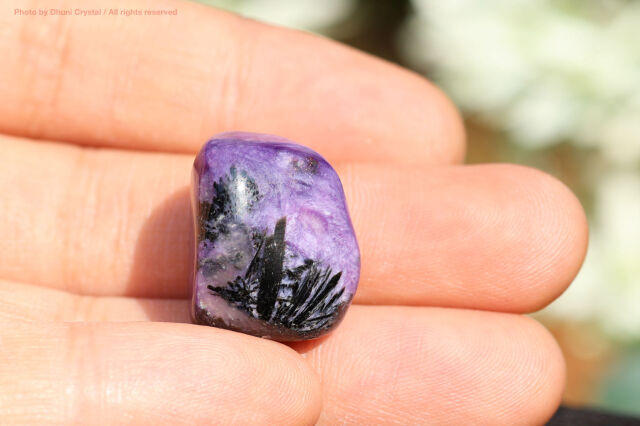 チャロアイト 恐れを手放し心を浄化する高波動ストーン