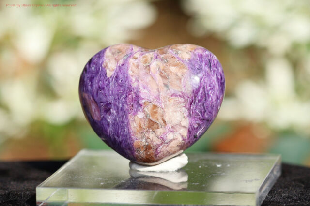 チャロアイト/ハート(T853)