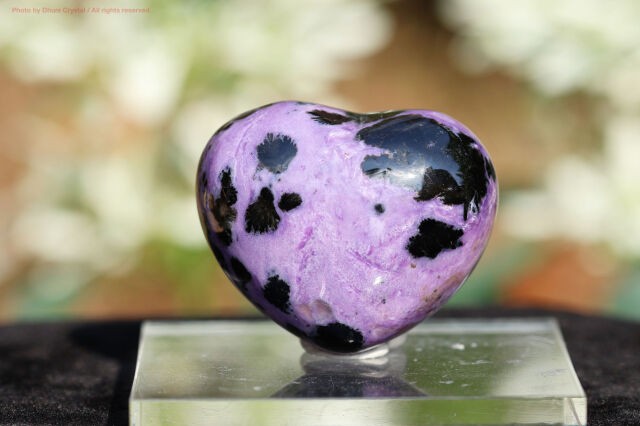 チャロアイト/ハート(T854)