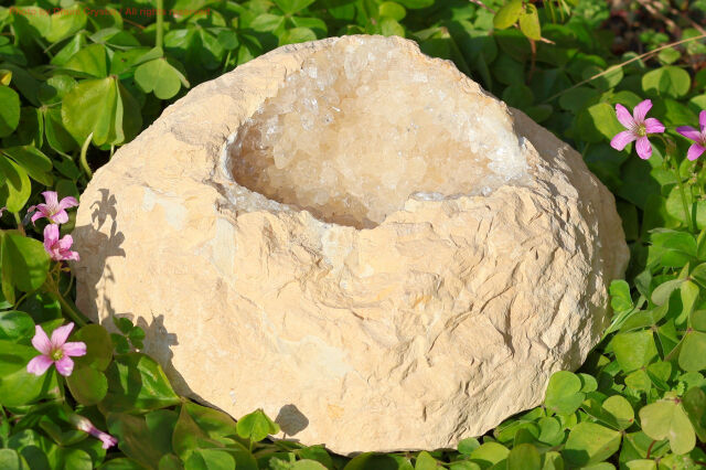 晶洞/カルサイト/クラスター(T864)