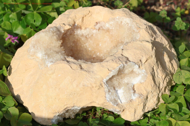 晶洞/カルサイト/クラスター(T865)