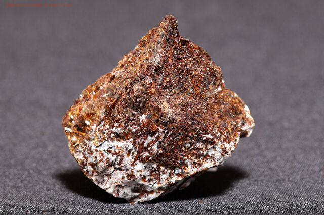 アストロフィライト/星葉石(T873)