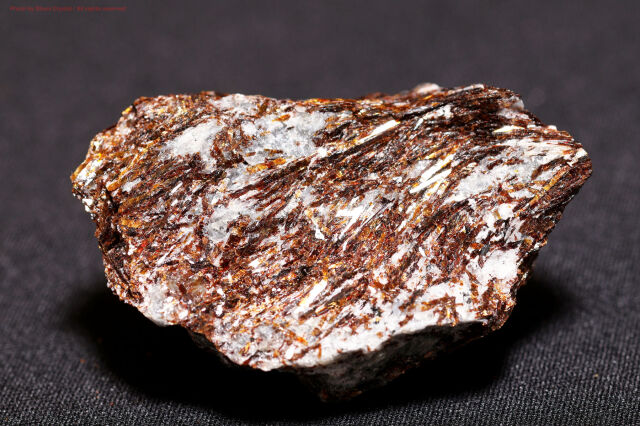 アストロフィライト/星葉石(T875)