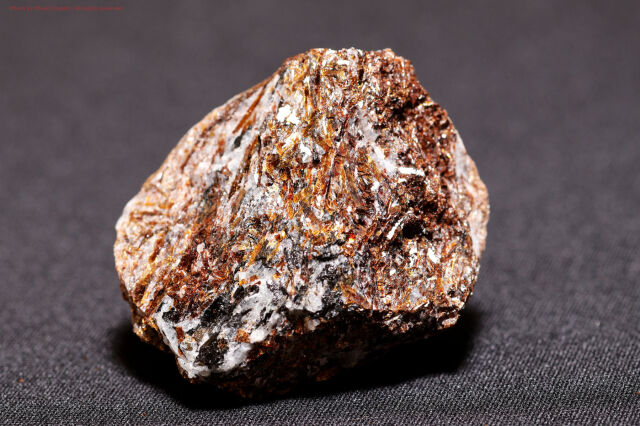 アストロフィライト/星葉石(T877)