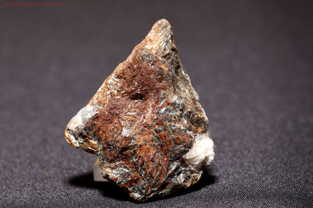 アストロフィライト/星葉石(T878)