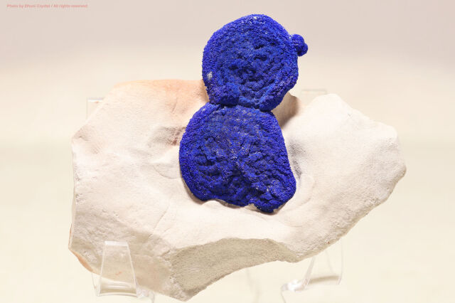 アズライト・サン（T881）