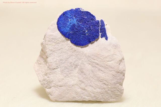 アズライト・サン（T883）