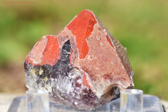 オーラスターライト23(新オーラライト２３）/レッドキャップ・ドゥルージー/原石(T913)