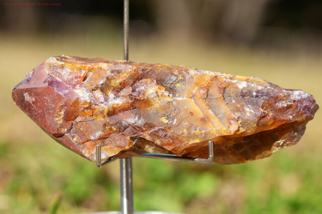 ゴールデン・オーラスターライト/原石ワンド/レインボーフレームあり(新オーラライト２３）(T918)