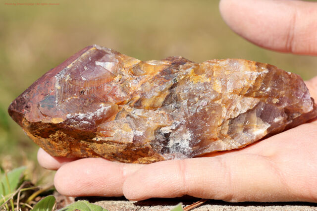 ゴールデン・オーラスターライト/原石ワンド/レインボーフレームあり