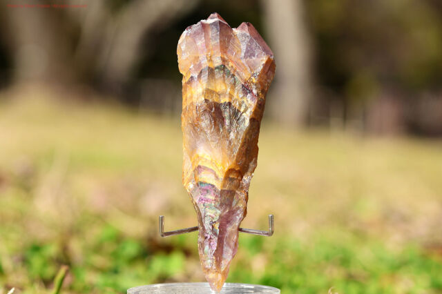 ゴールデン・オーラスターライト/原石ワンド/レインボーフレームあり(新オーラライト２３）(T919)