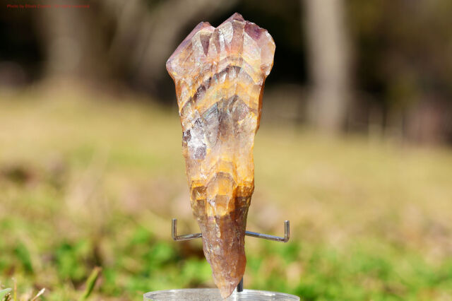 ゴールデン・オーラスターライト/原石ワンド/レインボーフレームあり