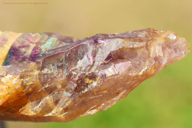 ゴールデン・オーラスターライト/原石ワンド/レインボーフレームあり