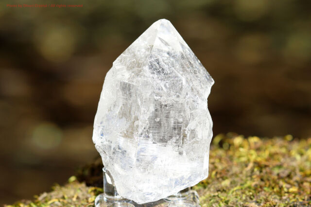 神々の恩寵ヒマラヤ水晶/シングルポイント/マニハール産/(T962)