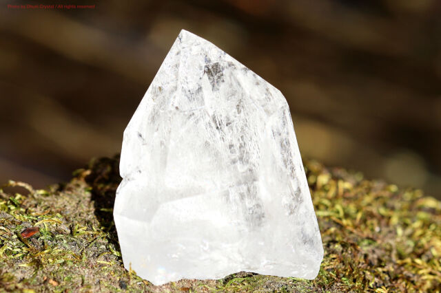 神々の恩寵ヒマラヤ水晶/シングルポイント/マニハール産/(T963)