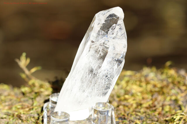 マニハール産 ヒマラヤ水晶 原石｜透明度抜群のクリスタル