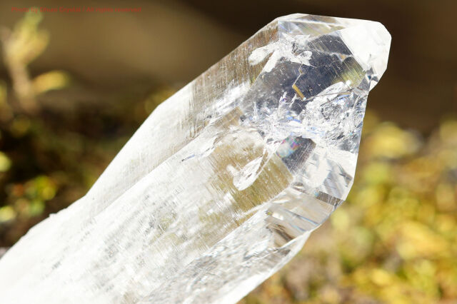 マニハール産 ヒマラヤ水晶 原石｜透明度抜群のクリスタル